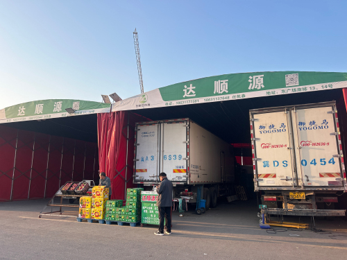 达顺源果业