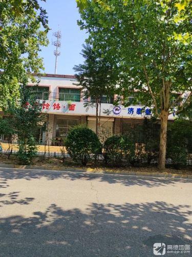 济泰叁陆伍