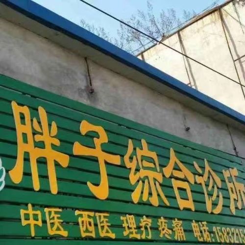 胖子综合诊所