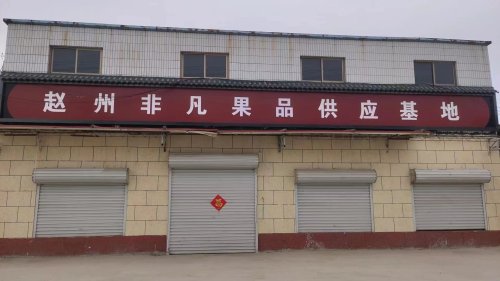 赵州非凡果品供应基地