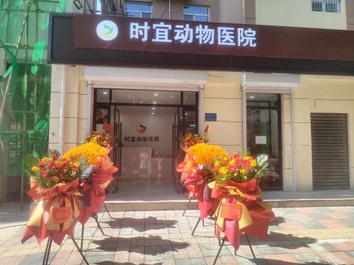 时宜动物医院