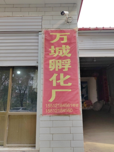 万城孵化厂