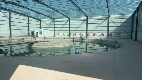 晋州金龙湖垂钓基地