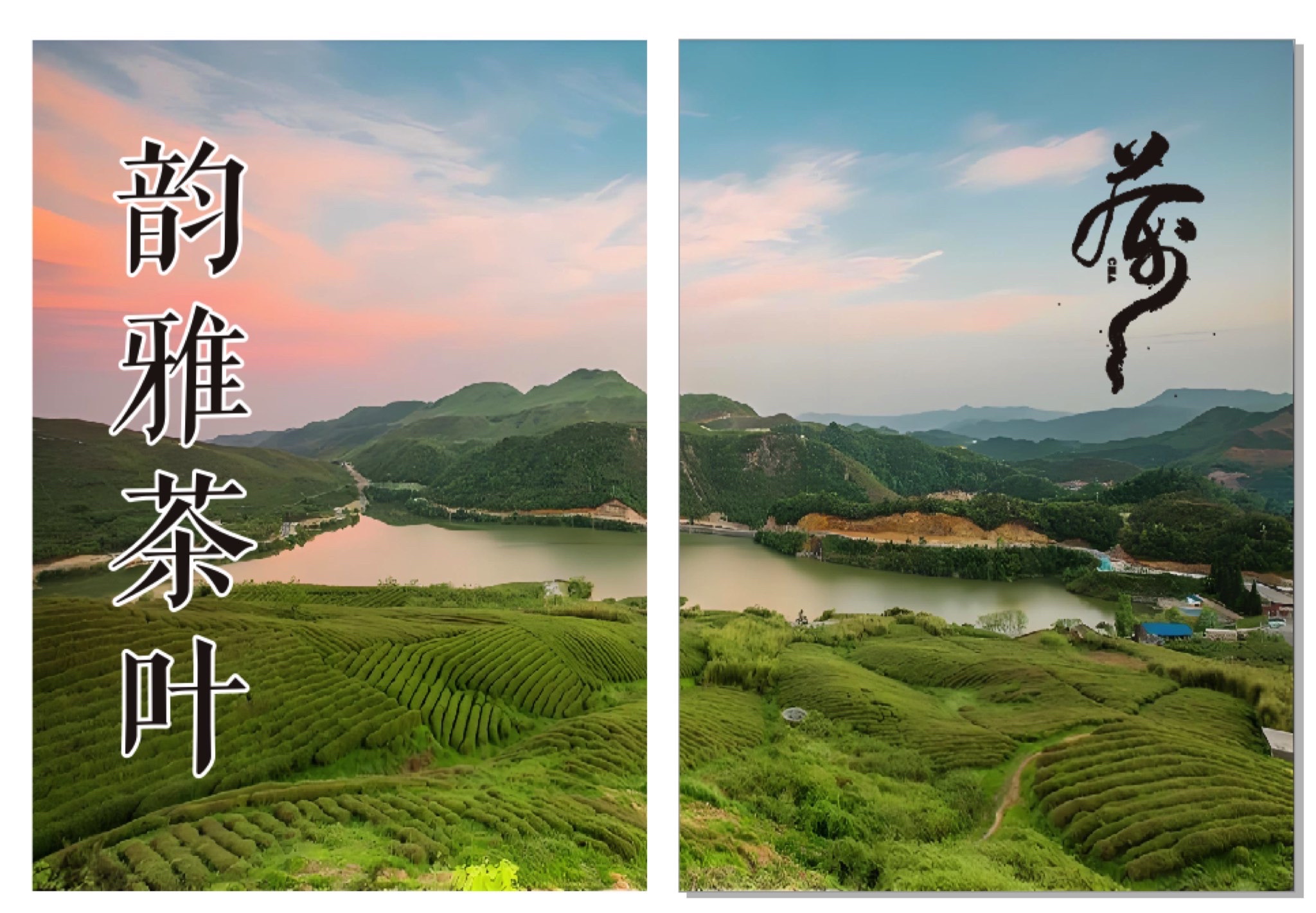 每日广告