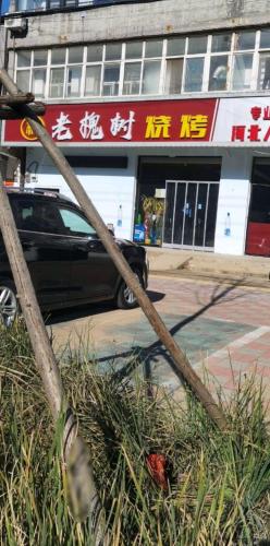 老槐树烧烤店