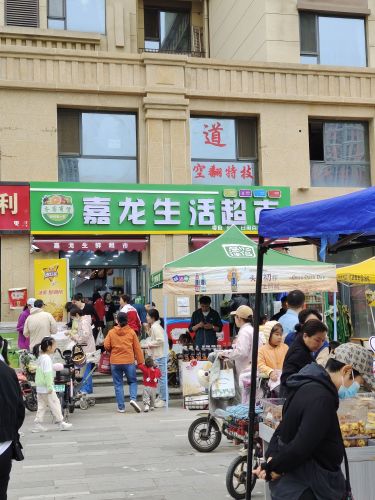 嘉龙生鲜超市(高远森霖城一区店)