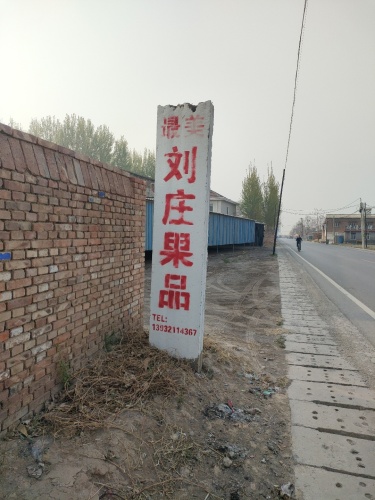 辛集刘庄果品