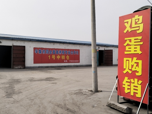 辛集市周全畜禽养殖专业合作社