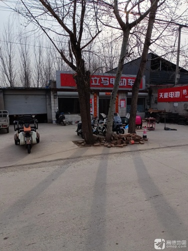 立马电动车(智慧森林幼儿园店)