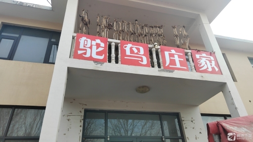 鸵鸟庄家