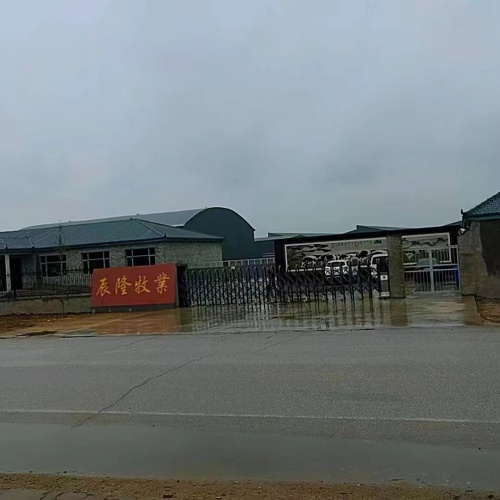 定州辰隆养殖有限公司