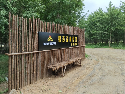 日常逃离森林营地