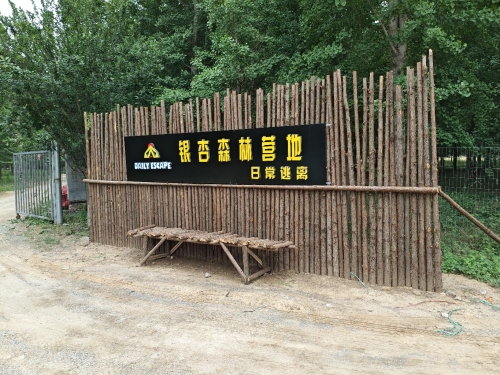 日常逃离森林营地