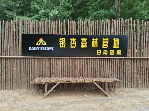 日常逃离森林营地
