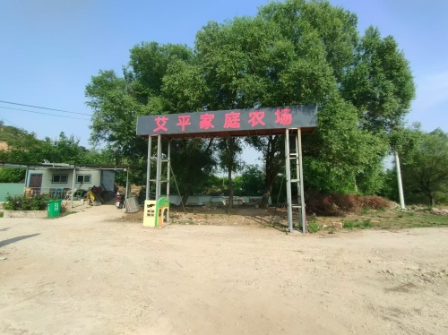 艾平家庭农场