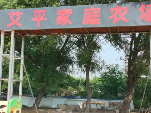 艾平家庭农场