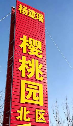 杨建瑞樱桃园