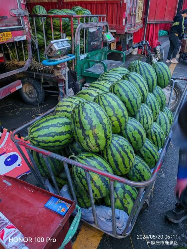 孙周果业