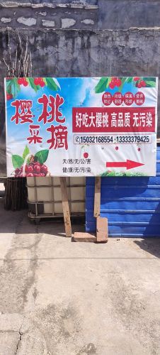 西柏山樱桃采摘园
