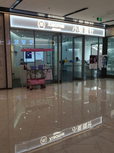 石家庄小美微针