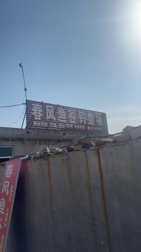 春风鱼谷垂钓园