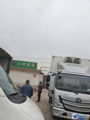 小辉菌菇