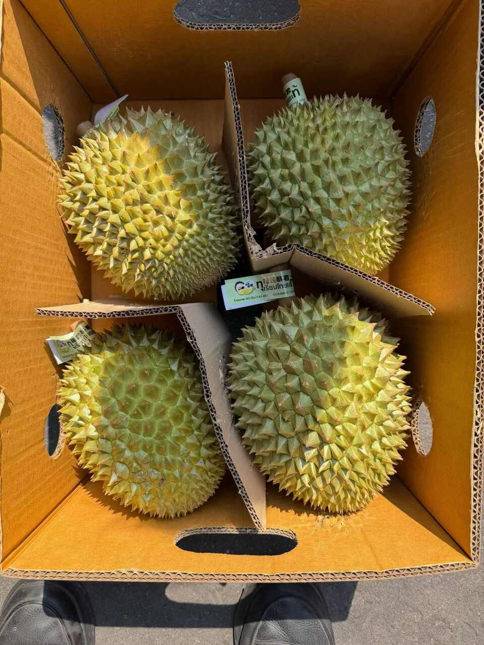 斌仔榴莲
