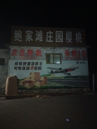 王振书樱桃采摘(庄园樱桃1区)