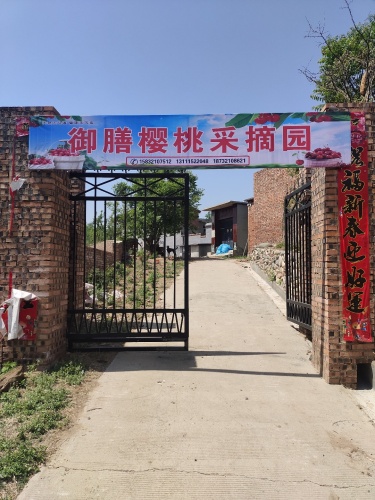 御膳樱桃采摘园