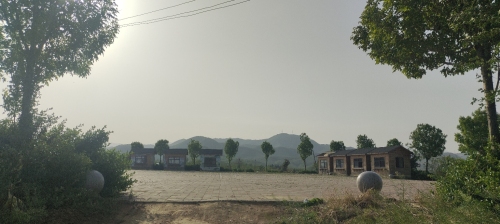 杨占平樱桃采摘园