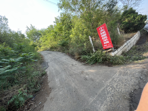 小天梯樱桃采摘园