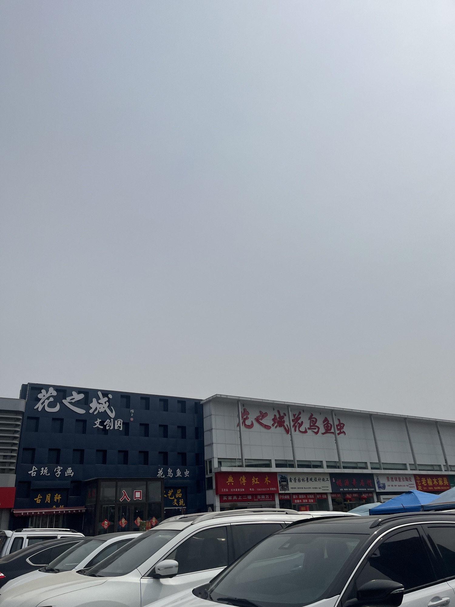 花之城花鸟鱼虫市场