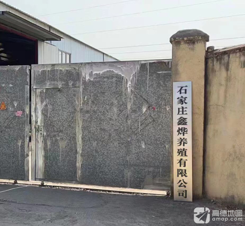 石家庄鑫烨养殖有限公司