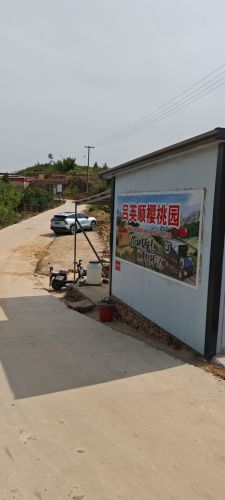 吕英顺樱桃园