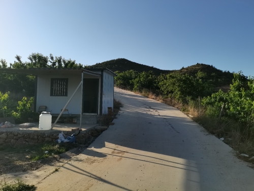 吕英顺樱桃园