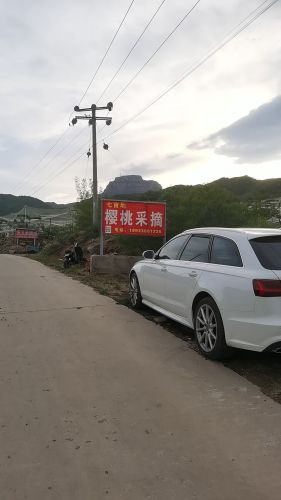 七亩地樱桃采摘园