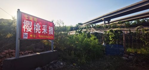 七亩地樱桃采摘园