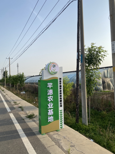 河北芊潓农业基地