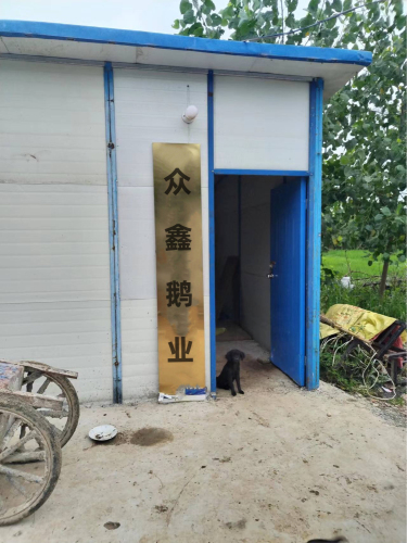 众鑫鹅业