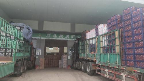 河北果遇轩农业发展有限公司