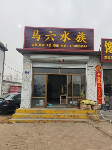 马六水族