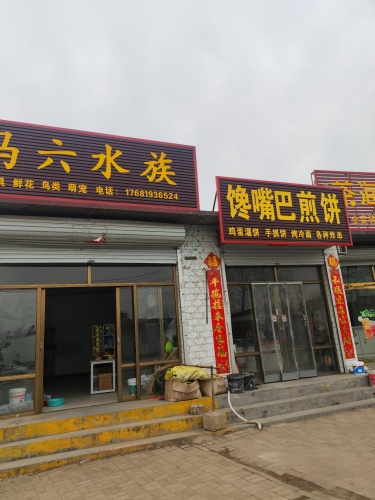 马六水族