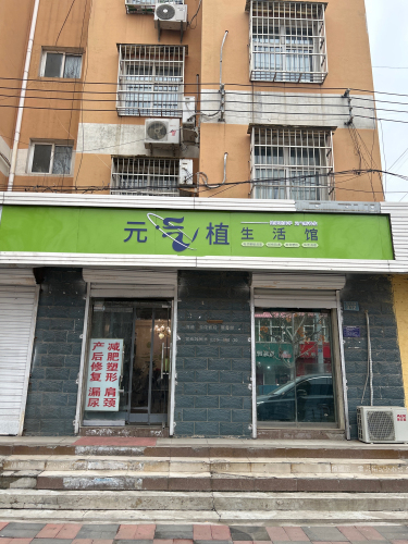 元气植