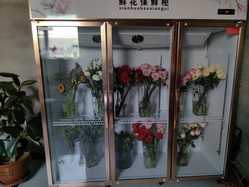 千荨花艺