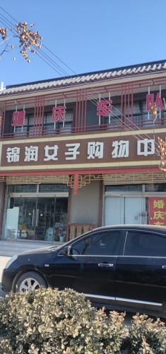 皇家婚庆车队