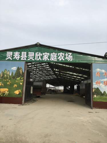 灵寿县灵欣家庭农场