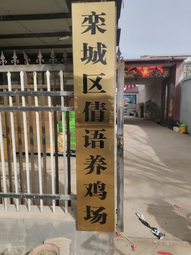 栾城区倩语养鸡场