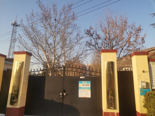 石井乡张庄小学