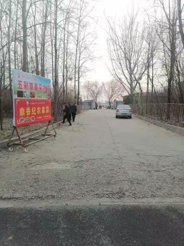 五彩草莓采摘园