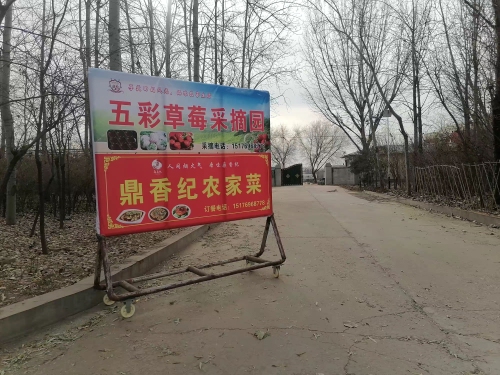 五彩草莓采摘园